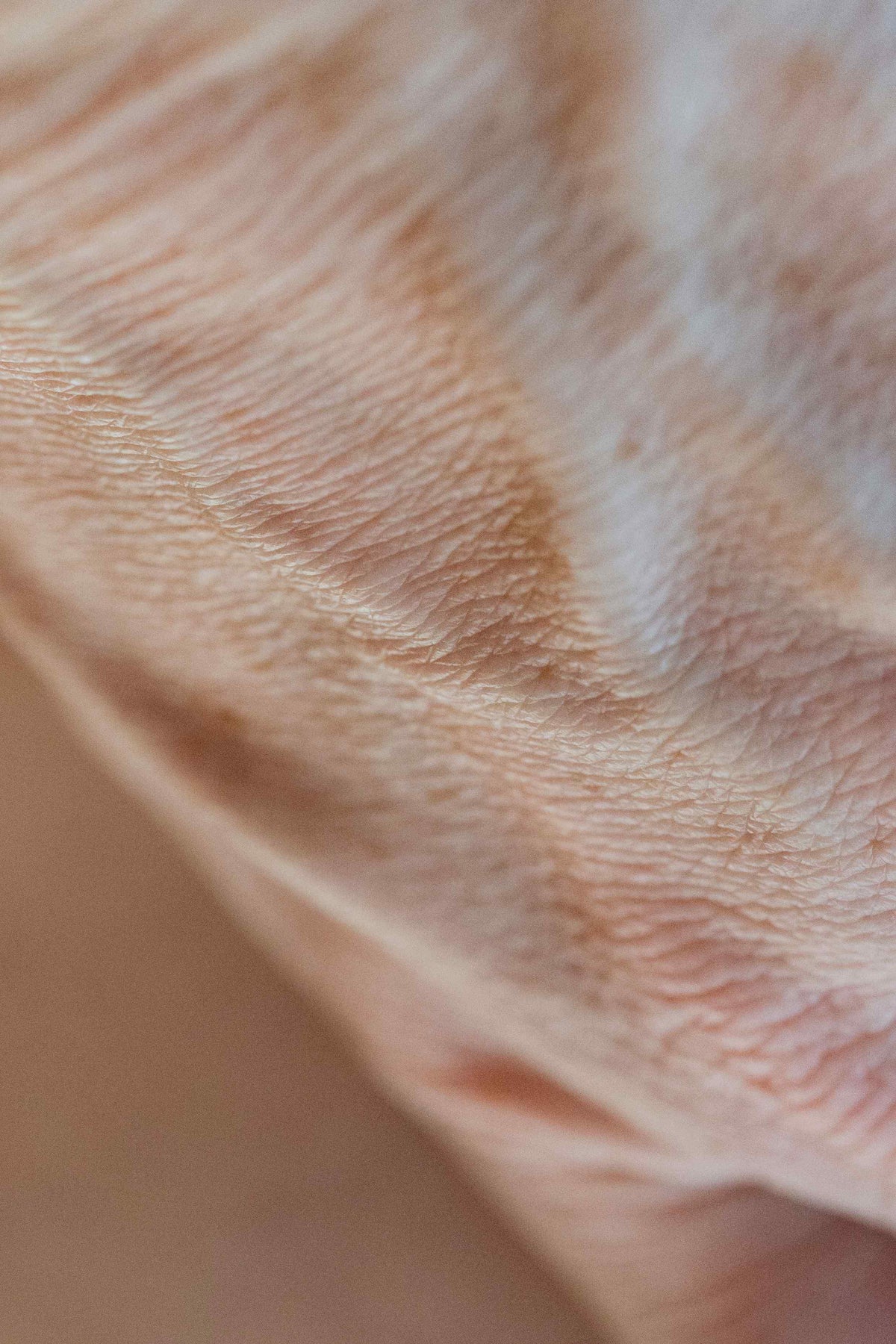 Soft close-up of skin texture